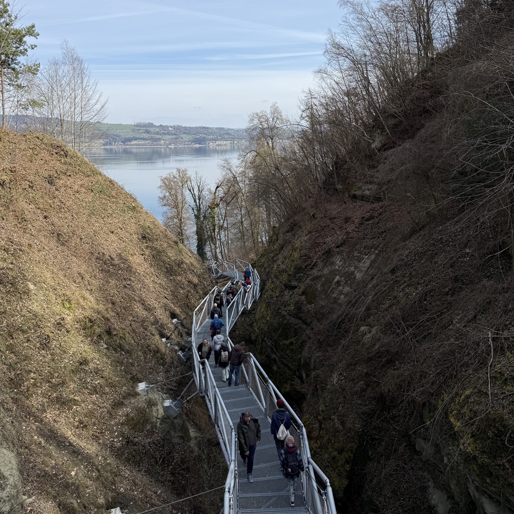 in der Nähe
